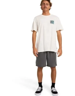 Billabong Crayon Wave Premium T-Shirt Off in White