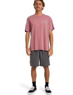 Billabong Heritage Arch Premium T-Shirt in Red Dahlia
