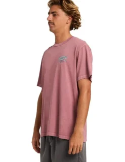 Billabong Heritage Arch Premium T-Shirt in Red Dahlia