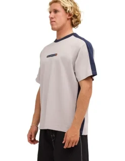 Billabong Spec Iconic T-Shirt in Ash