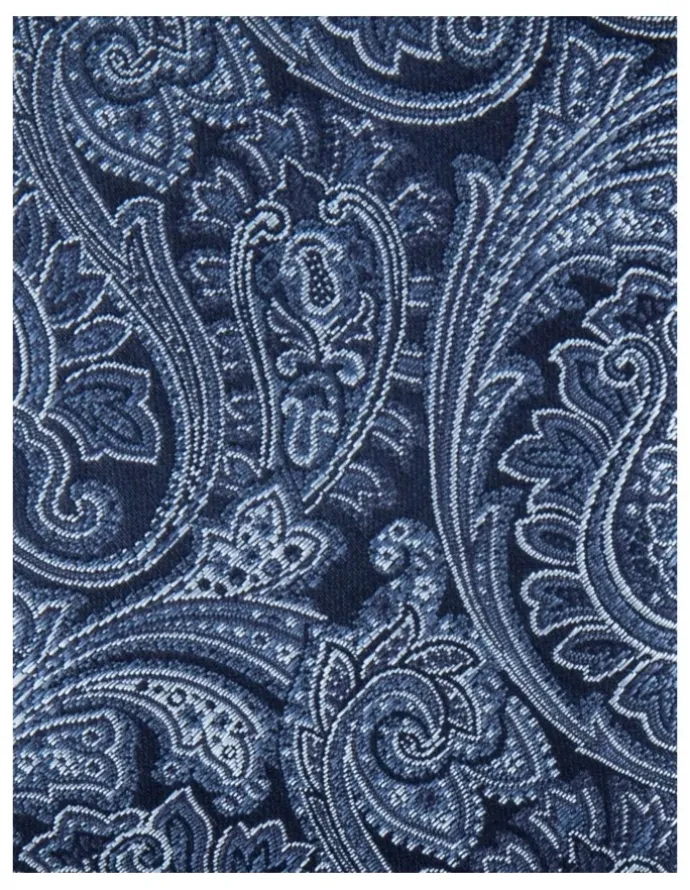 Blaq Paisley Poly Tie in Navy