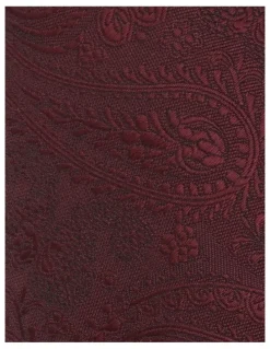 Blaq PAISLEY Tie in Burgundy