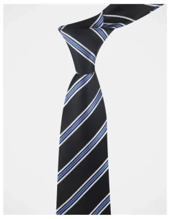 Blaq Stripe Tie in Navy/White