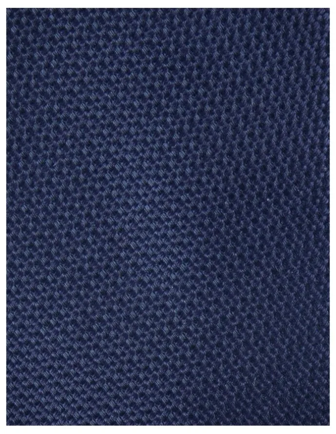 Blaq Textured Poly Tie in Navy