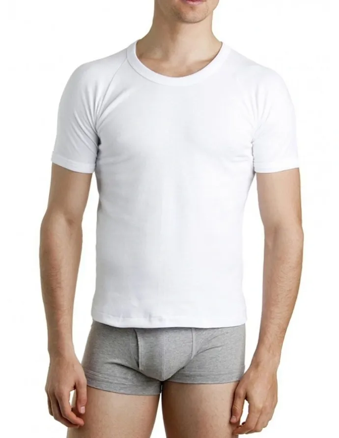Bonds Raglan Short Sleeve T-Shirt in White