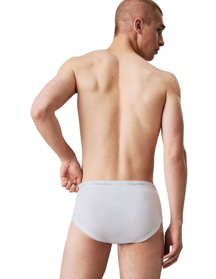 Calvin Klein 3 Pack Cotton Classics Briefs in Multi