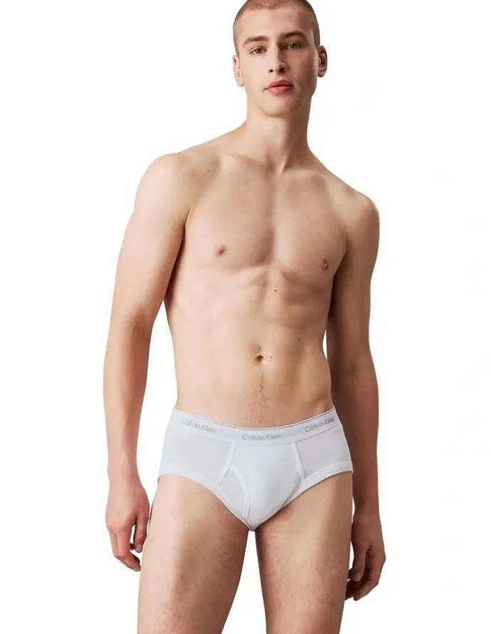Calvin Klein 3 Pack Cotton Classics Briefs in Multi