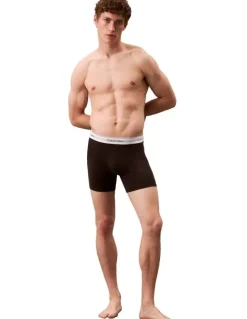 Calvin Klein Icon Cotton Boxer Briefs 3 Pack in Multi