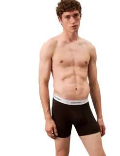 Calvin Klein Icon Cotton Briefs 3 Pack in Multi