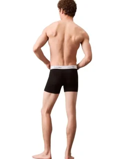 Calvin Klein Icon Cotton Briefs 3 Pack in Multi