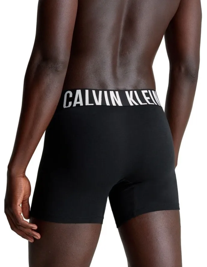 Calvin Klein Intense Power Cotton Boxer Briefs 3 Pack in Black