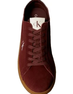 Calvin Klein Low Profile Cupsole Su Sneaker in Andorra/White