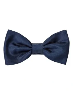Cambridge Formal Silk Bowtie in Navy