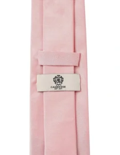 Cambridge Formal Silk Tie in Blush