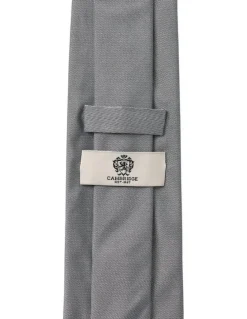 Cambridge Formal Silk Tie in Pewter