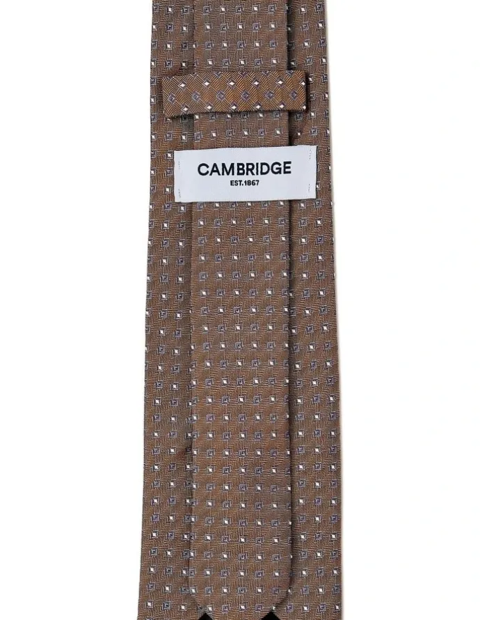 Cambridge Neat Geo Silk Tie in Coffee