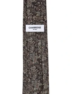 Cambridge Tonal Paisley Silk Tie In Chocolate
