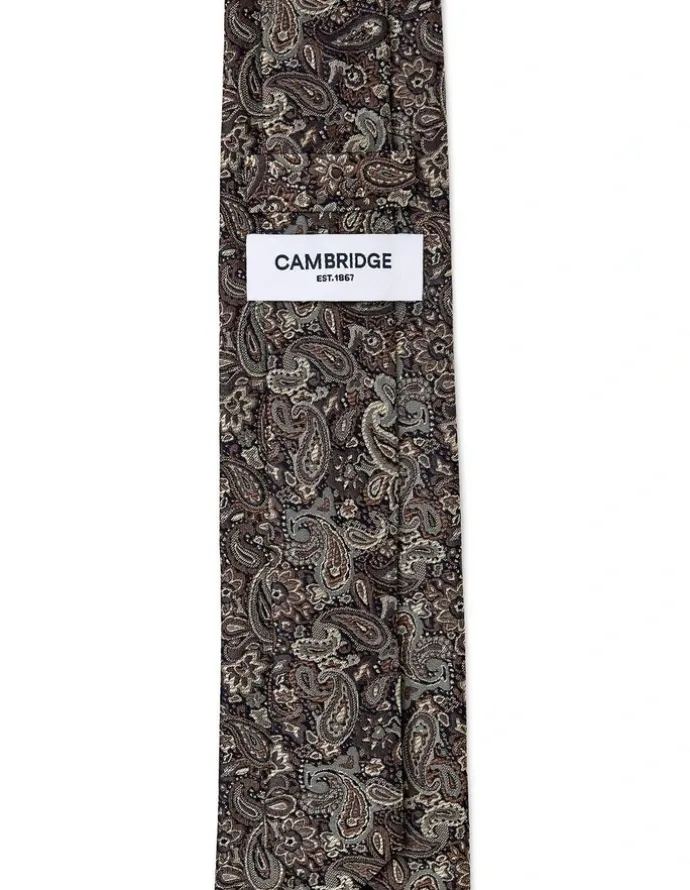 Cambridge Tonal Paisley Silk Tie In Chocolate