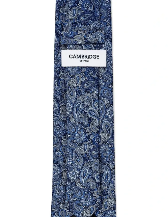 Cambridge Tonal Paisley Silk Tie In Blue