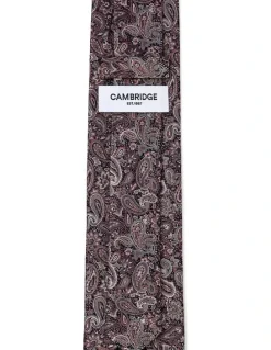 Cambridge Tonal Paisley Silk Tie In Mauve