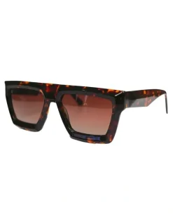 Clubman Ray Sunglasses in Brown