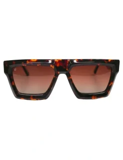 Clubman Ray Sunglasses in Brown