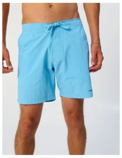 Critical Slide Nucleus 16 Trunk in Blue