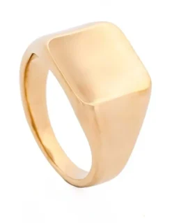 Cudworth Ion Plated 14K Polished Stainless Steel Signet Ring in Gold