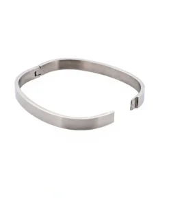 Cudworth Savage Stainless Steel Bangle in Silver
