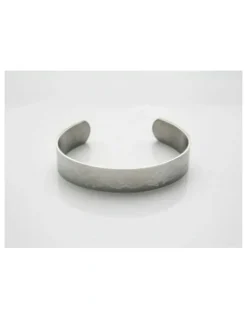 Cudworth Stainless Steel Bangle in Silver
