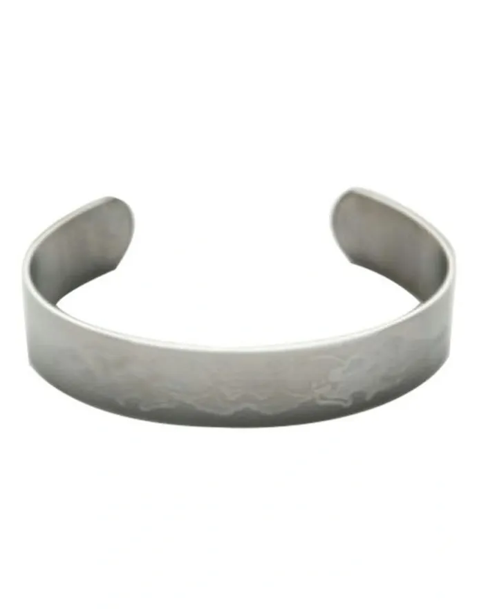 Cudworth Stainless Steel Bangle in Silver