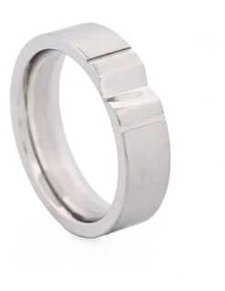 Cudworth Stainless Steel Inverted Ring in Silver