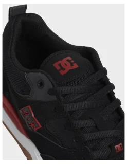 DC Ascend S Skate Shoes in Multi