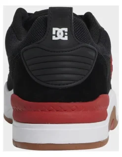 DC Ascend S Skate Shoes in Multi