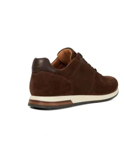 Dune London Trilogy Sneaker In Brown
