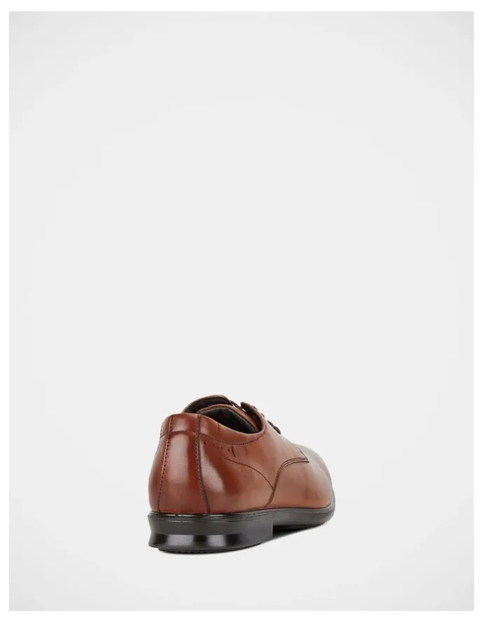 Hush Puppies Cale Shoes In Tan Burnish
