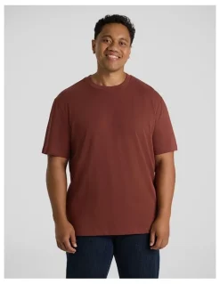 Johnny Bigg Classic Heavy Weight Tee in Brick Red