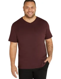 Johnny Bigg Essential V Neck Tee in Burgundy
