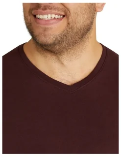 Johnny Bigg Essential V Neck Tee in Burgundy
