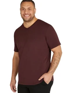 Johnny Bigg Essential V Neck Tee in Burgundy