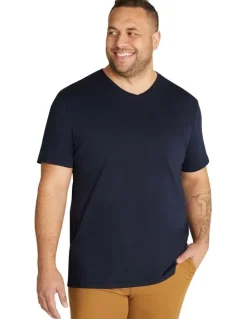Johnny Bigg Essential V Neck Tee in Navy