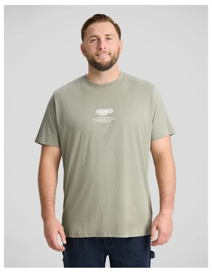 Johnny Bigg Scenic Longline Tee in Sage