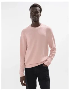 Marcs Gordon Textured Merino Knit in Stucco Pink