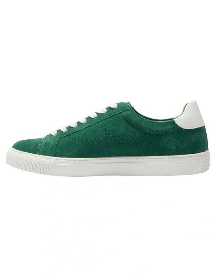 Marcs Varsity Leather Sneakers in Green/White