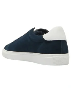 Marcs Varsity Sneakers in Navy/White