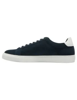 Marcs Varsity Sneakers in Navy/White