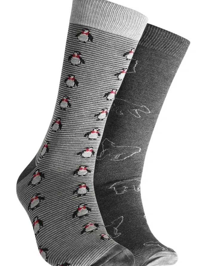 Mitch Dowd Artic Journey Bamboo Socks 2 Pack in Grey