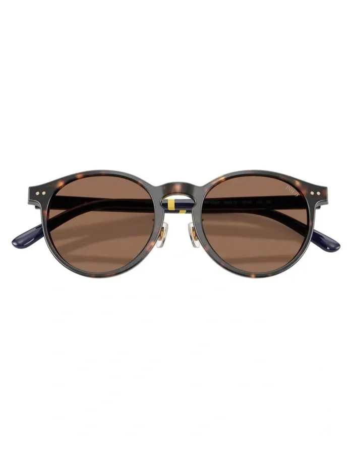 Polo Ralph Lauren Acetate Sunglasses in Tortoise