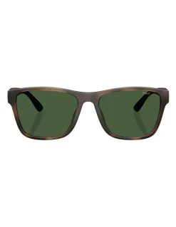 Polo Ralph Lauren Injected Sunglasses in Tortoise