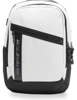 QUIKSILVER Dreeday Backpack 28L in Silver Birch